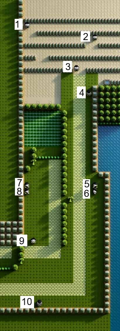 初代ポケモン 14番道路にいるトレーナーの位置
